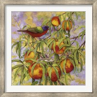 Framed Painted Bunting & Peaches