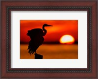 Framed Silhouette of Great Blue Heron Stretching Wings at Sunset