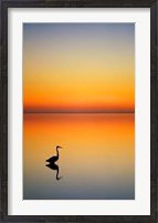 Framed Great Blue Heron at Sunset, Port Aransas, Texas