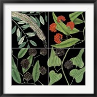 Graphic Botanical Grid IV Framed Print