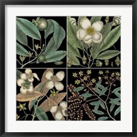 Graphic Botanical Grid V Framed Print