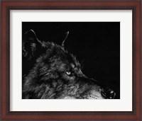 Framed Scratchboard Wolf I