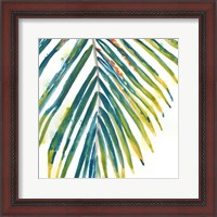 Framed Palm Wonderful I