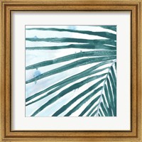 Framed Palm Wonderful III