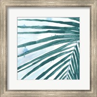 Framed Palm Wonderful III