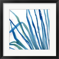 Palm Wonderful IV Framed Print