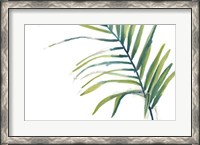 Framed Palm Wonderful V