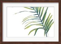 Framed Palm Wonderful V