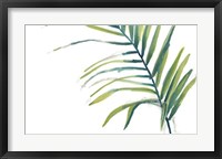 Framed Palm Wonderful V