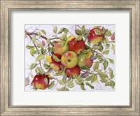 Framed Apples