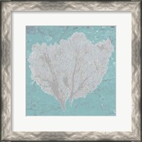 Framed Graphic Sea Fan IV