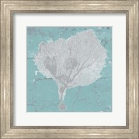 Framed Graphic Sea Fan VIII