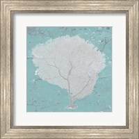 Framed Graphic Sea Fan IX