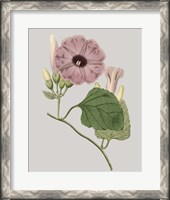 Framed Floral Gems IV
