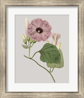 Framed Floral Gems IV