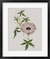 Floral Gems VI Framed Print