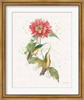 Framed Colorful Hummingbirds I