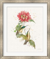 Framed Colorful Hummingbirds I