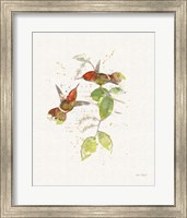 Framed Colorful Hummingbirds II