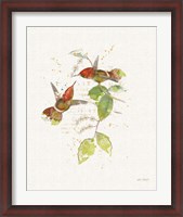 Framed Colorful Hummingbirds II