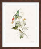 Framed Colorful Hummingbirds III