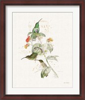 Framed Colorful Hummingbirds III