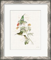 Framed 'Colorful Hummingbirds III' border=