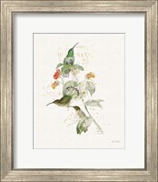 Framed Colorful Hummingbirds III