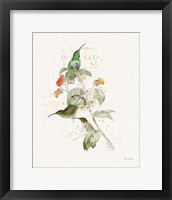 Framed 'Colorful Hummingbirds III' border=