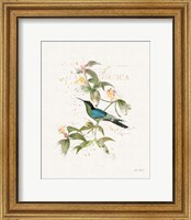 Framed 'Colorful Hummingbirds IV' border=
