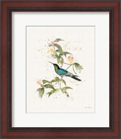 Framed Colorful Hummingbirds IV