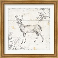 Framed 'Wild and Beautiful VI' border=