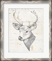 Framed 'Wild and Beautiful II' border=