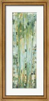 Framed Forest V