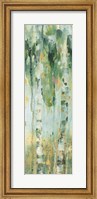 Framed Forest IV