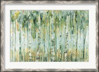 Framed Forest I