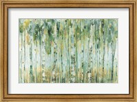 Framed Forest I