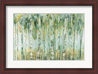 Framed Forest I