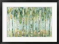 Framed Forest I