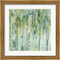 Framed Forest III