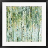 The Forest III Framed Print