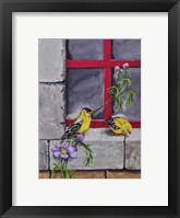 Framed Gold Finches