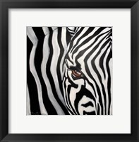 Framed Zebra Face