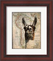 Framed South America Llama Map