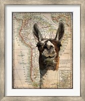 Framed South America Llama Map