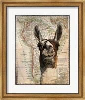 Framed South America Llama Map