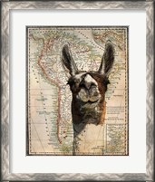 Framed South America Llama Map