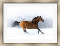 Framed Pop of Color Running Horse