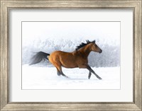 Framed Pop of Color Running Horse
