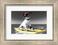 Framed Pop of Color Surf's Up Dog